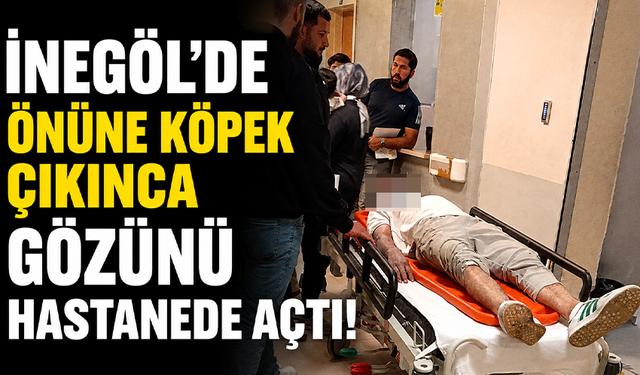 Bursa İnegöl'de önüne köpek çıkınca, gözünü hastanede açtı