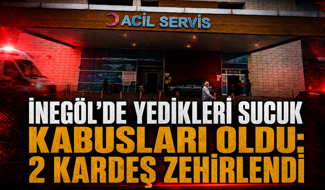 Bursa İnegöl'de yedikleri sucuk kabusları oldu: 2 kardeş zehirlendi