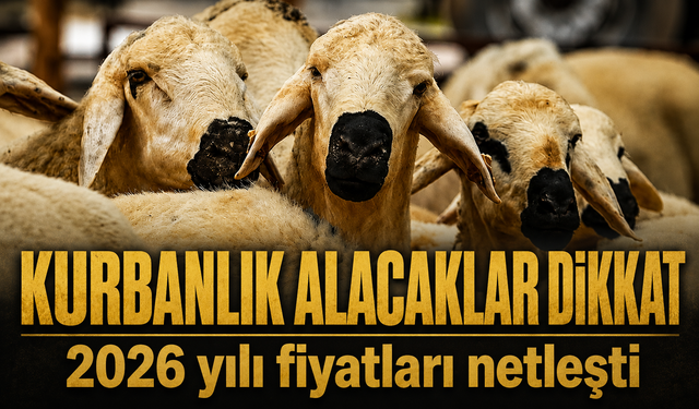 TZOB açıkladı: 2026 Kurbanlık fiyatları belli oldu