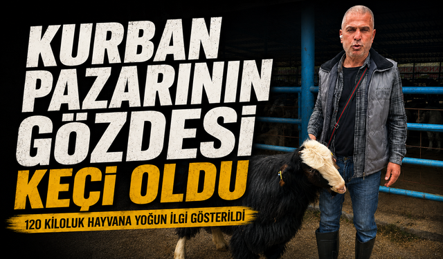 Bursa'daki kurban pazarının şampiyon keçisi 47 bin liradan satıldı