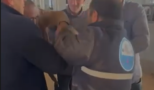 İnegöl pazarında kol koparan pazarlıklar başladı