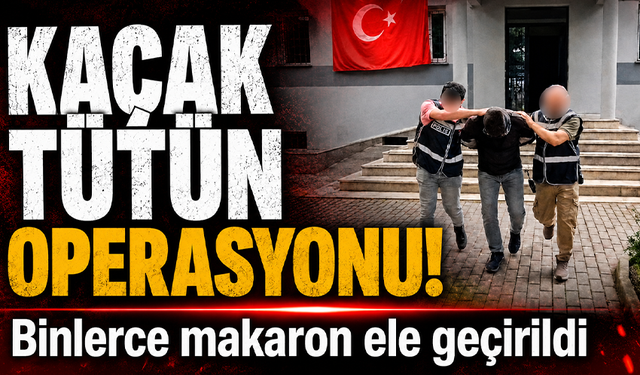 Bursa'da kaçak tütün operasyonu