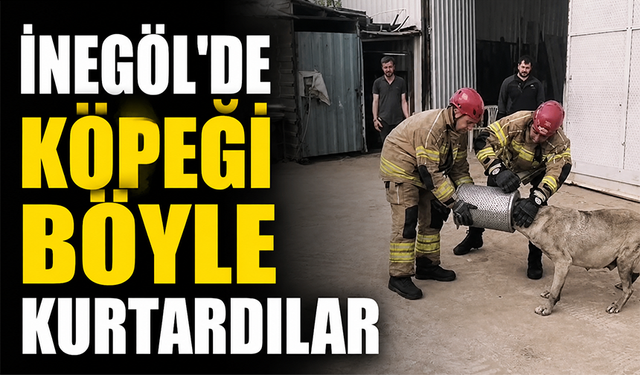 Bursa İnegöl'de köpeği böyle kurtardılar