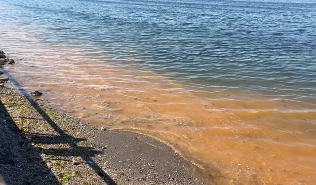 Bursa Mudanya'da müsilajdan sonra turuncu alarm