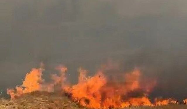 Bursa Karacabey'de buğday tarlaları alevlere teslim oldu