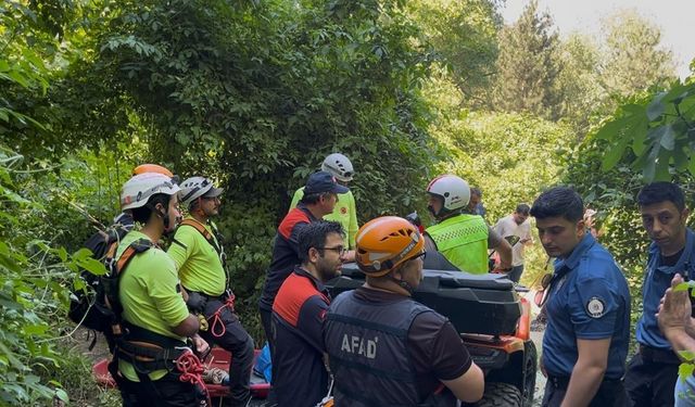 Bursa Uludağ'a ıhlamur toplamaya gitti, uçurumdan düşerek hayatını kaybetti