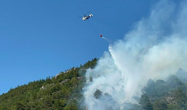 Bursa'da ormanlık alanda yangın