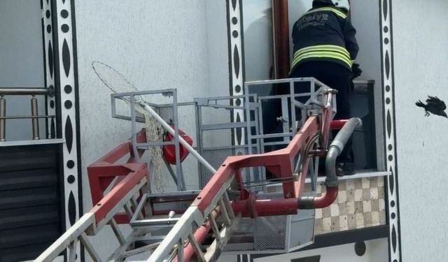 Balkona sıkışan kargayı itfaiye kurtardı