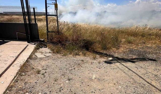 Elektrik tellerine çarpan kuş yangın çıkardı