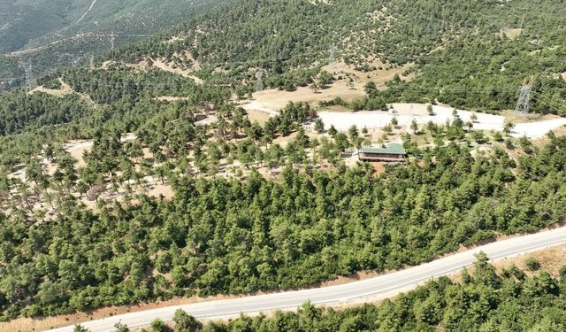 Gürsu Mesire alanı yeniden açılıyor