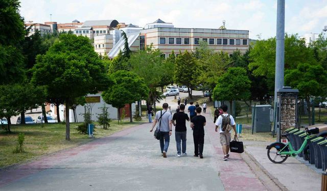 Kocaeli Üniversitesi'nde sahipsiz köpekler azaldı, öğrencilerin endişesi bitmedi