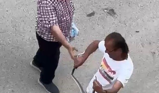 Paniğe sebep olan yılanı eliyle yakaladı