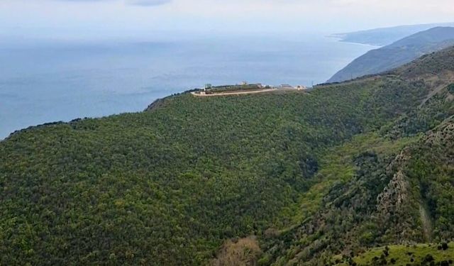 Tekirdağ'da ormanlara giriş 12 Hazirandan itibaren yasaklandı