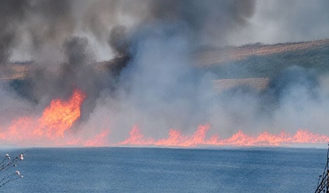 Tekirdağ'da tarım arazisinde korku dolu anlar