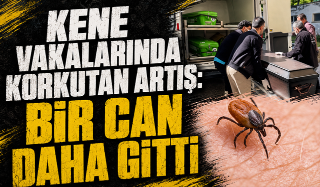 Sivas’ta hayvancılıkla uğraşan adam kene nedeniyle hayatını kaybetti