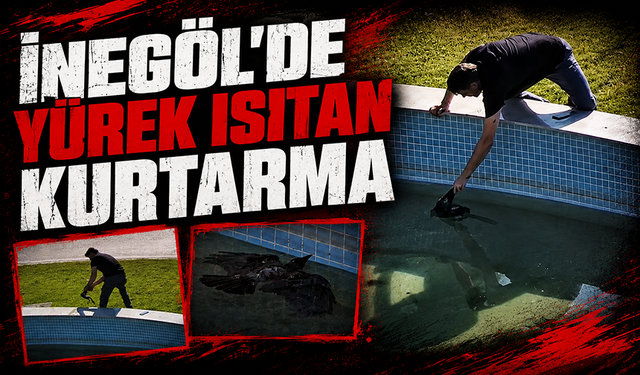 İnegöl'de yürek ısıtan kurtarma anı kameraya yansıdı