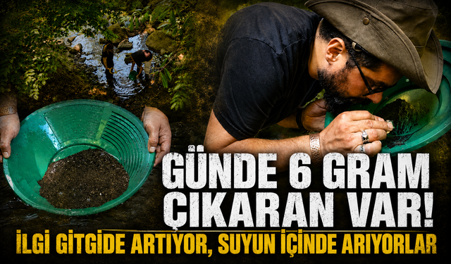 20 yıllık evli çift, Ordu’nun derelerinde altın peşinde