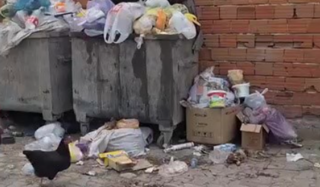 Bursa Mustafakemalpaşa'da 2 haftadır alınmayan çöpler tepki çekti
