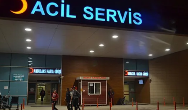 Bursa İnegöl'de ormandan topladığı mantar hastanelik etti