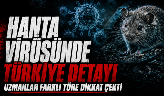 Hanta virüsünde Türkiye detayı! Uzmanlar farklı türe dikkat çekti