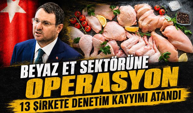 Beyaz et sektörüne operasyon: 13 şirkete denetim kayyımı atandı