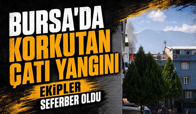 Bursa Gürsu'da çatı yangını büyümeden söndürüldü