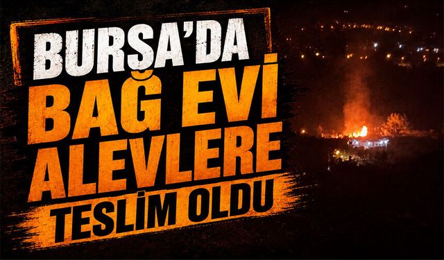 Bursa Nilüfer'de bağ evi alevlere teslim oldu