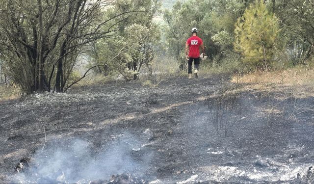 Bursa Mudanya'da rüzgarın etkisiyle büyüyen yangın kontrol altına alındı