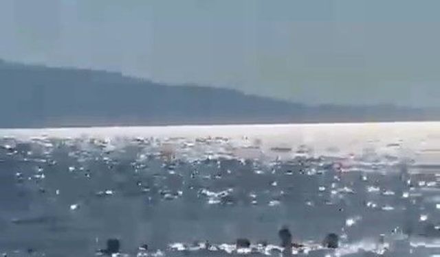 Bursa Gemlik'te dubaların dışına çıkan aile boğulma tehlikesi atlattı