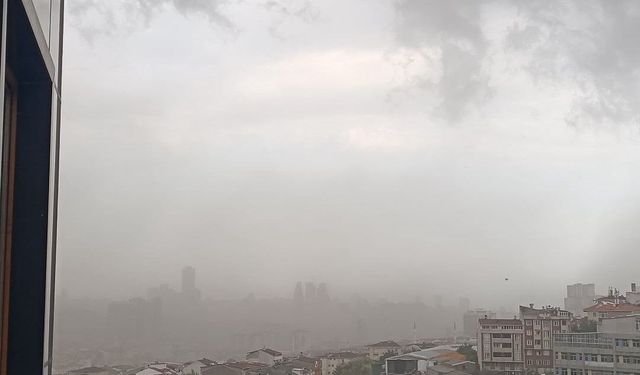 İstanbul'da fırtına etkili oldu, ağaçlar devrildi