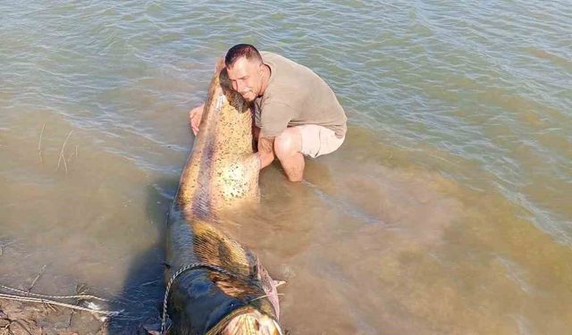 Tekirdağ'da 157 kiloluk yayın balığı yakalandı