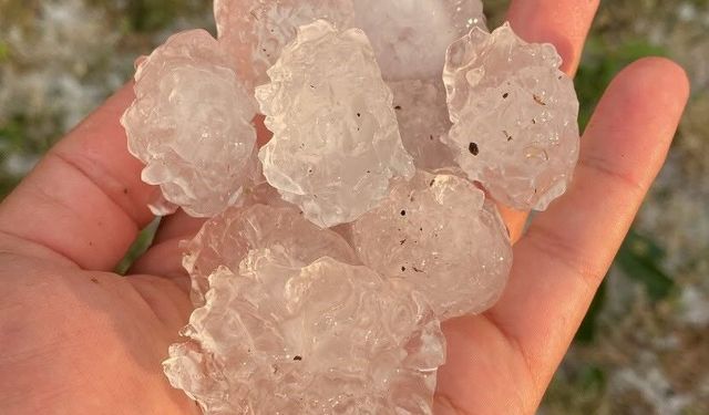 Tekirdağ'da dolu ayçiçeği ve karpuz tarlalarını vurdu