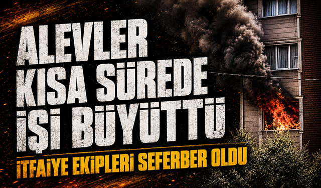 Bursa Gürsu'da ev alevlere teslim oldu