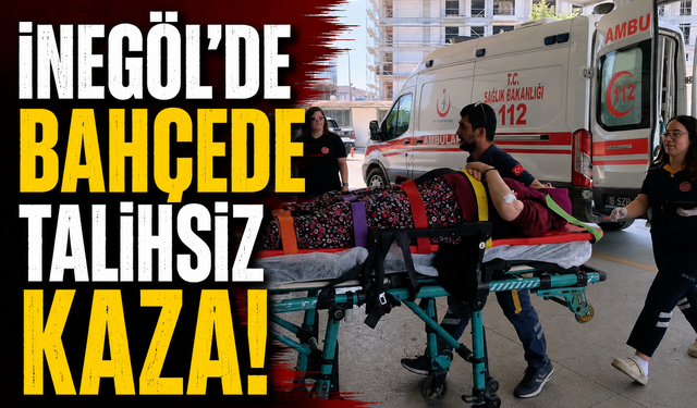 Bursa İnegöl'de kiraz ağacından düştü!