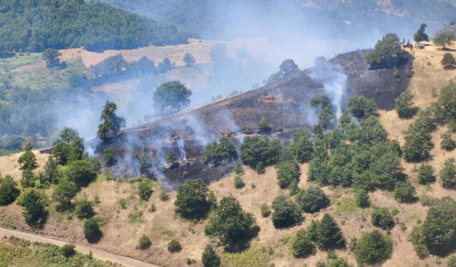Bursa Gemlik'te orman yangını! Dumanlar gökyüzüne yükseldi