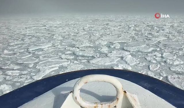 Türk bilim insanları dünyanın en kuzeyindeki deniz buzu hattında