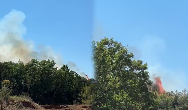 Bursa Kestel'de orman yangını