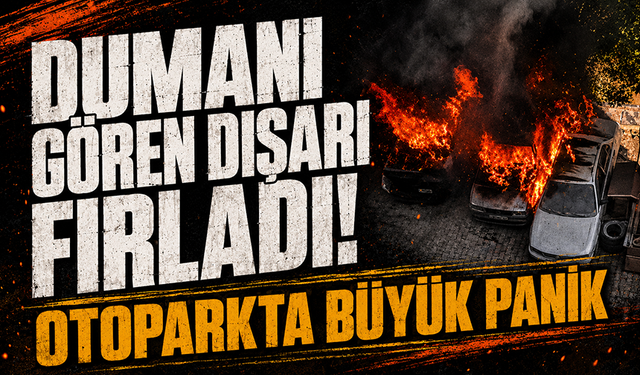 Bursa Gemlik'te park halindeki otomobiller alev topuna döndü