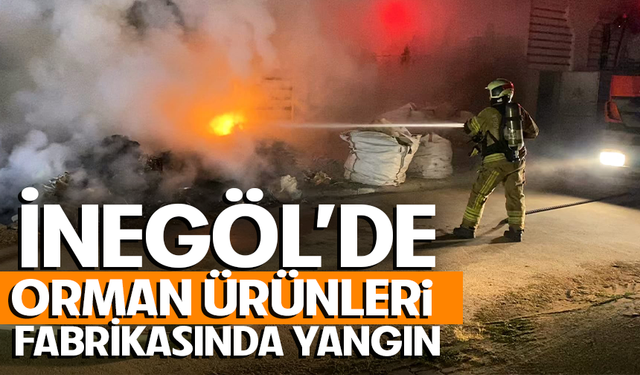 Bursa İnegöl'de orman ürünleri fabrikasında yangın