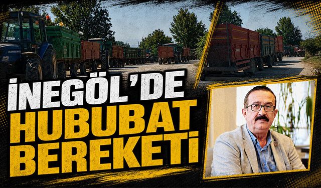 Bursa İnegöl'de hububat bereketi