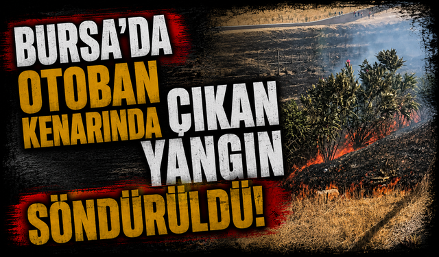 Bursa Karacabey'de otoban kenarında çıkan yangın söndürüldü!