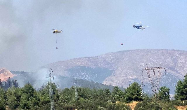 Bilecik'te ormanlık alanda yangın başladı