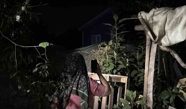 Bir tıkırtı yetiyor, herkes sokağa fırlıyor: Gece saatlerinde fenerlerle iz sürüyorlar