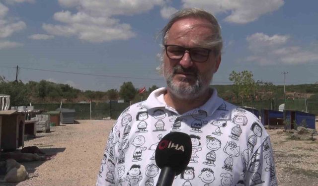 Birkaç köpekle başladı, bin 200 cana yuva oldu