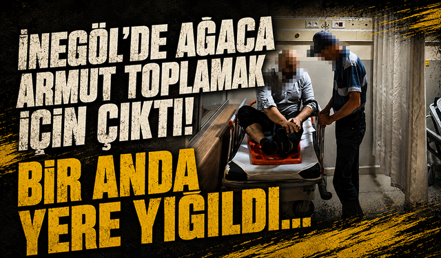 Bursa İnegöl'de ağaca armut toplamak için çıktı! Bir anda yere yığıldı...