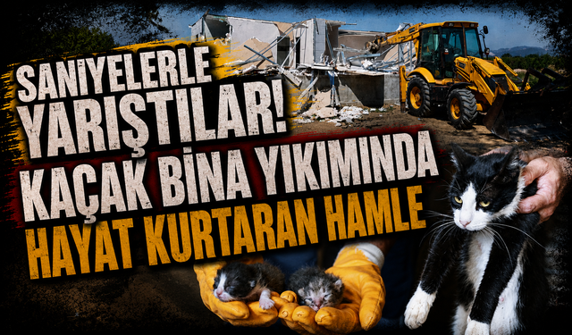 Saniyelerle yarıştılar! Kaçak bina yıkımında hayat kurtaran hamle