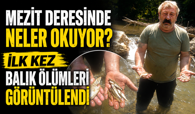 İnegöl'de Mezit deresinde neler oluyor? İlk kez balık ölümleri görüntülendi