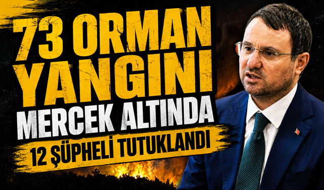 73 orman yangını mercek altında: 12 şüpheli tutuklandı