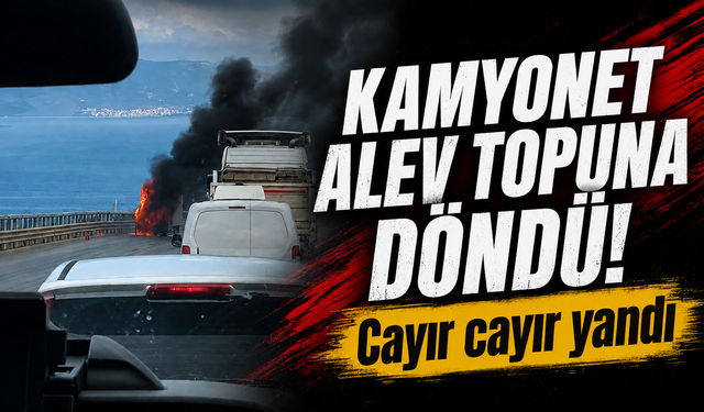 Bursa İznik'te kamyonet alev topuna döndü