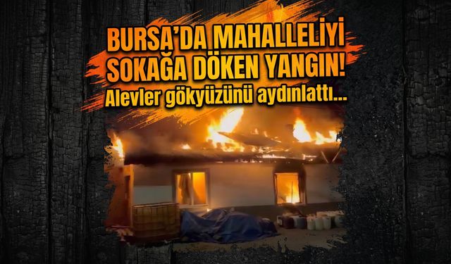 Bursa'da mahalleliyi sokağa döken yangın! Alevler gökyüzünü aydınlattı...